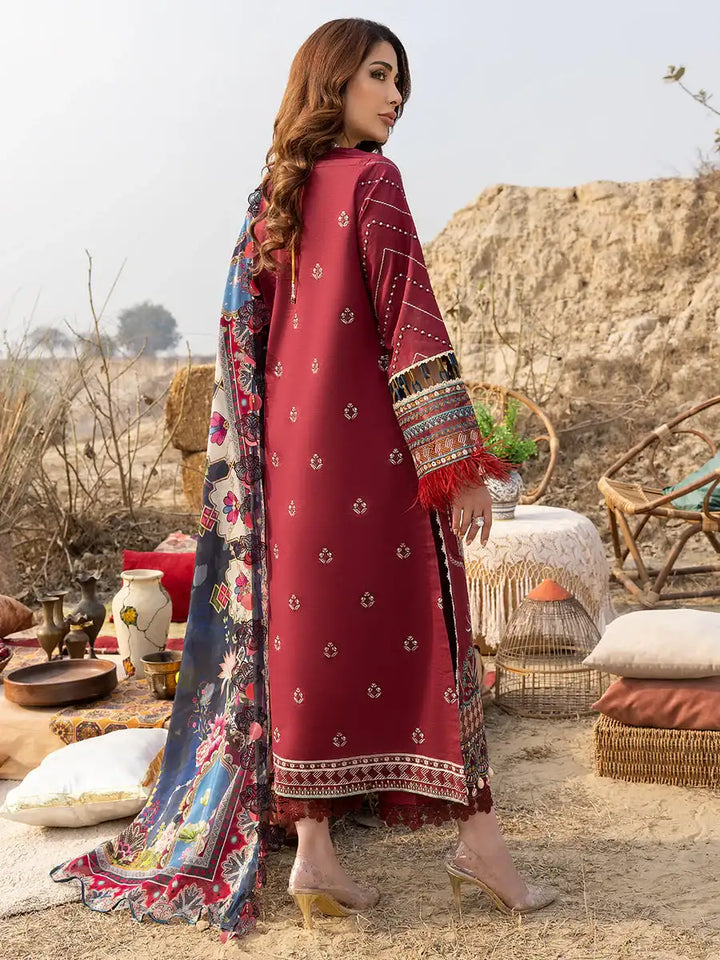 IZEL Dhanak Collection - 2416