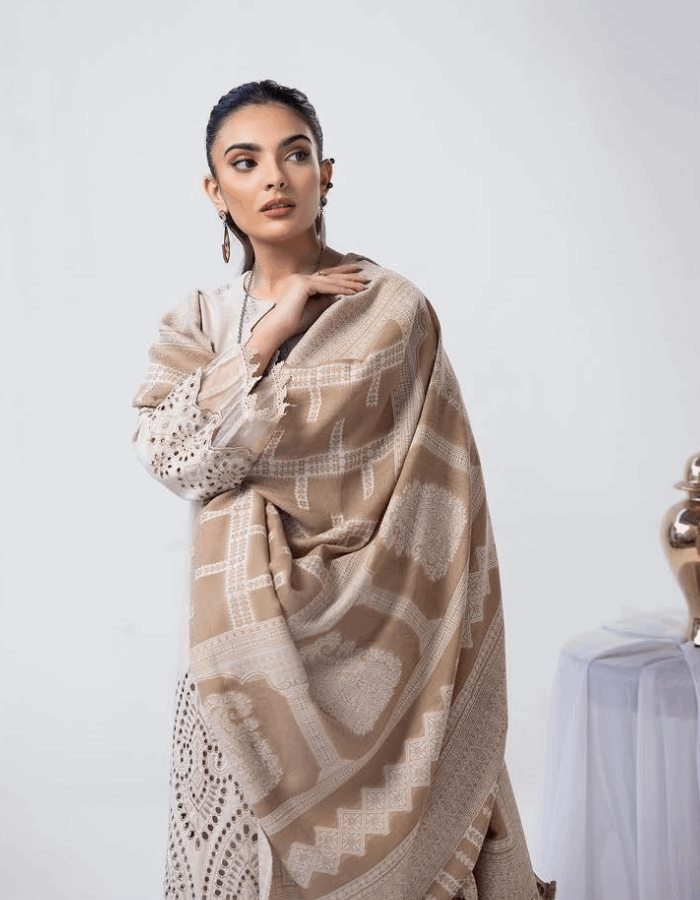 Mehrunisa Embroidered Peach Leather Collection with Swati Shawl