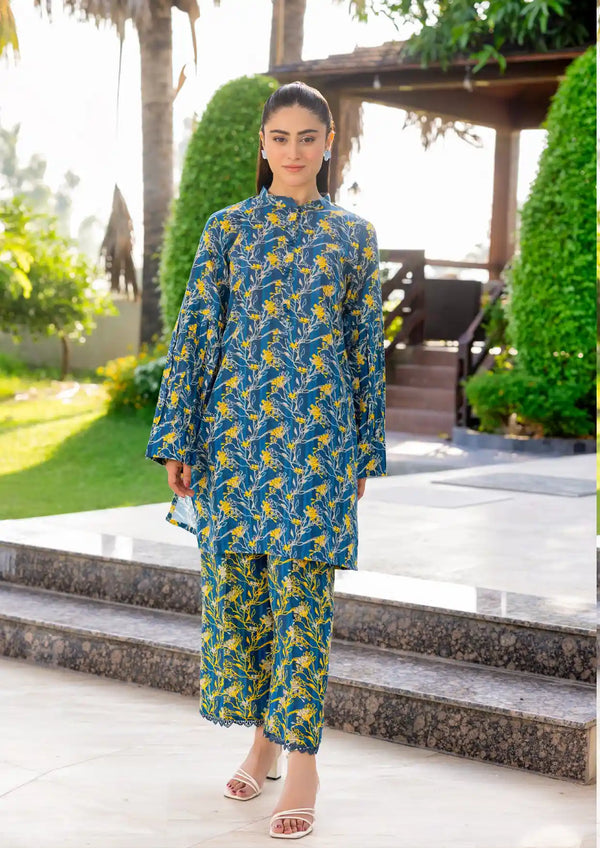 Raabi Winter Exclusive Khaddar - 02