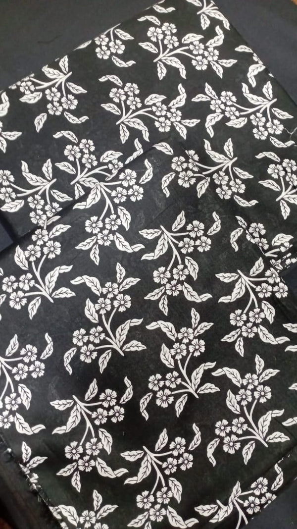Bin Ismil 2Pc Printed Lawn