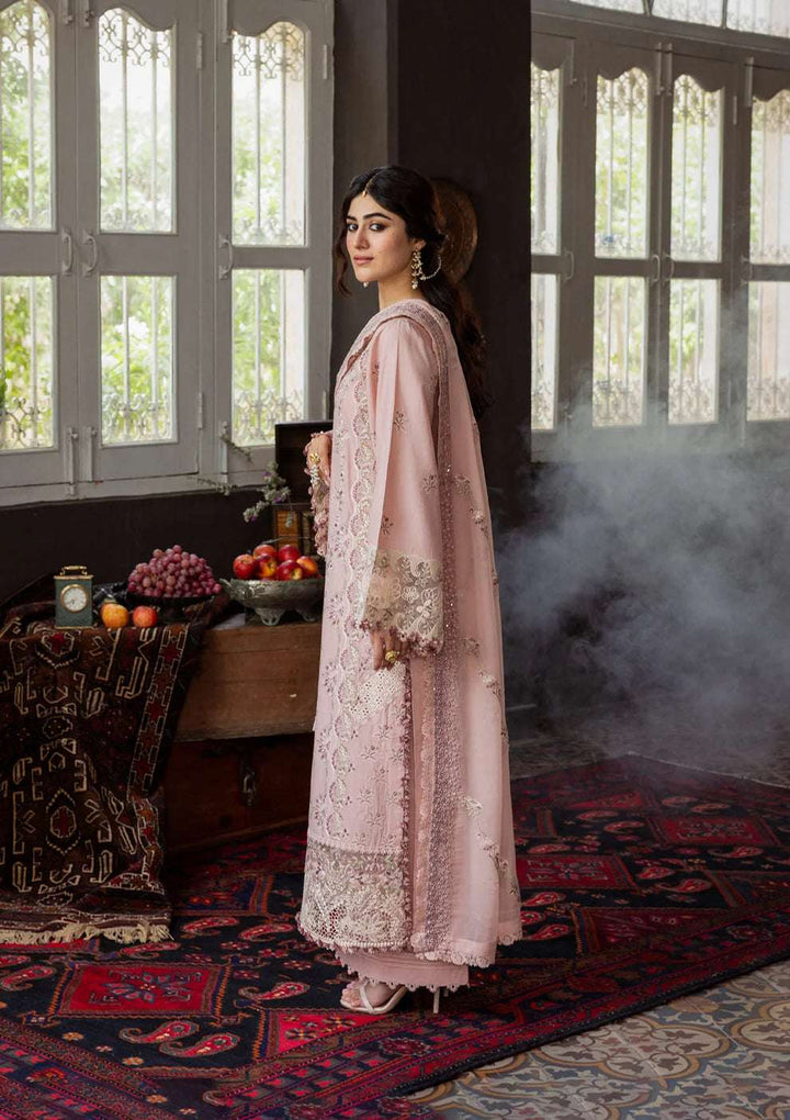 KAHF KARANDI 2025 KKH-08 ROSABELLE