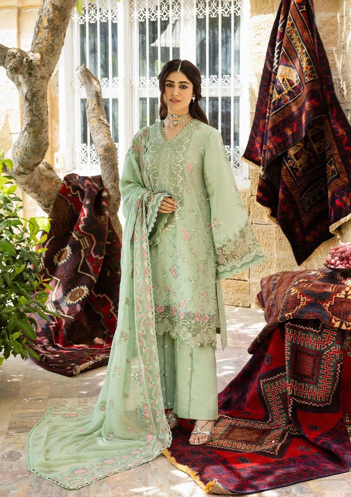 KAHF KARANDI 2025 KKH-01 PRIMROSE